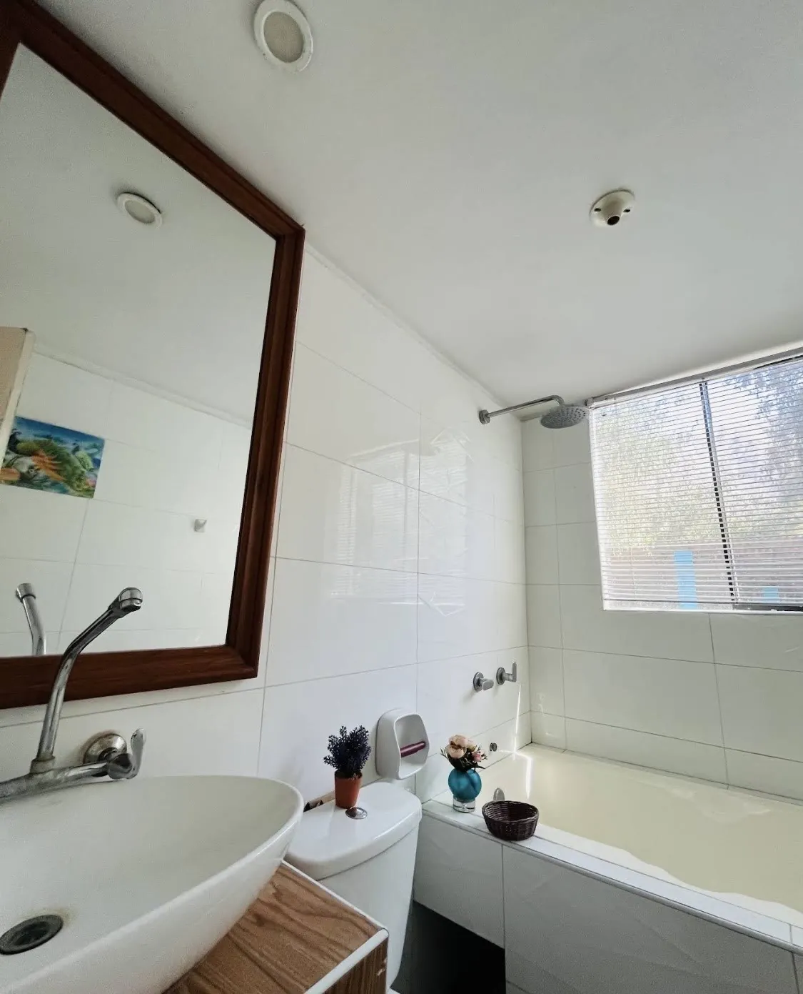 Baño limpio con tina, ducha y lavatorio
